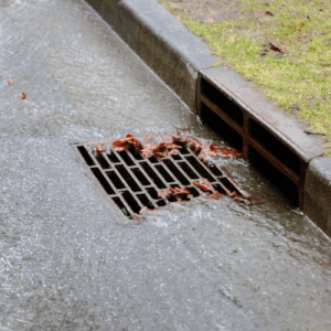 sewer woodstock
